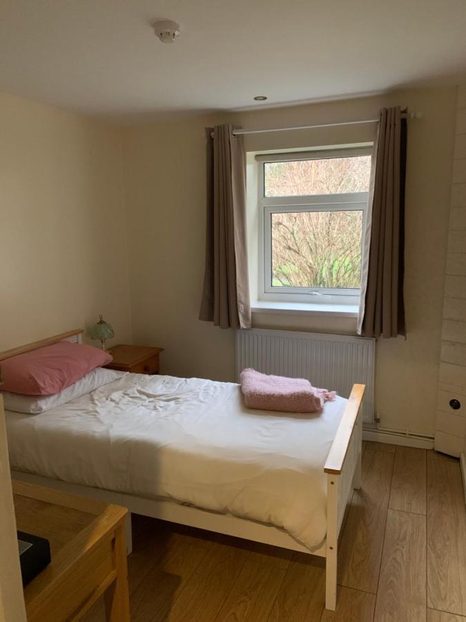 Abercraf Hafan Y Coed - Haven Of Trees Bed & Breakfast エクステリア 写真